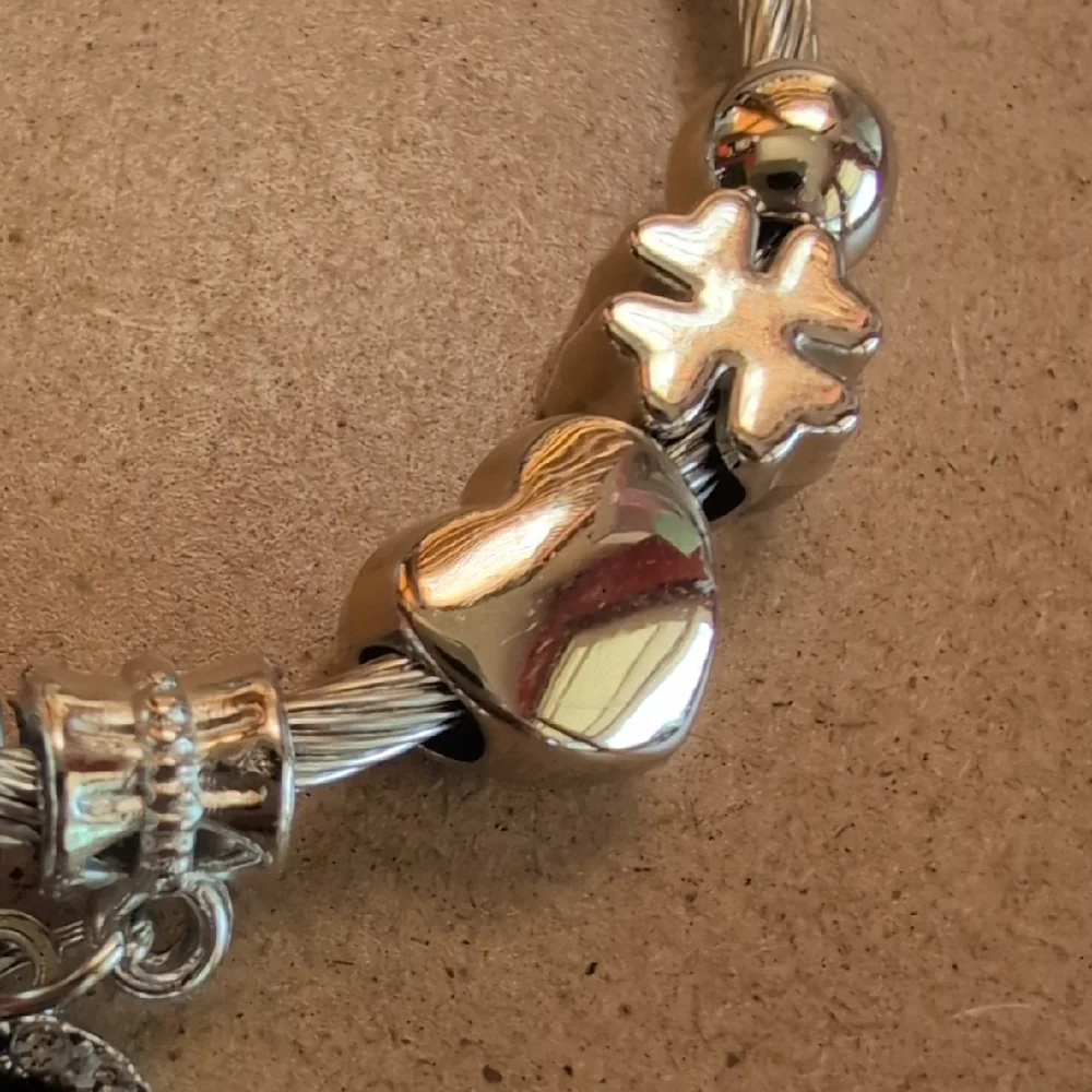 Stainless Steel Chic Silver and Black Charm Bracelet